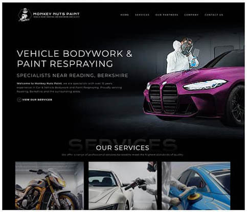 Monkey Nuts Paint design visual